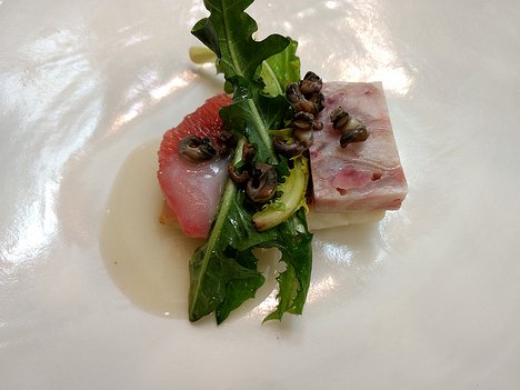 20180414_IMG140613367_MotoG4-JEB First Course: Bar with grapefruit, dandelions, winkles and compressed trotter (and stock)