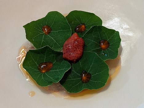 20200716_000000_BURST20200716130441218_COVER_Pixel3a-JEB first course: squille (crevette mante sauvage), juice, pickled strawberry, nasturtium leaves