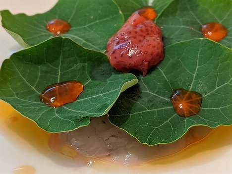20200716_PORTRAIT_BURST130451822_Pixel3a-JEB first course: squille (crevette mante sauvage), juice, pickled strawberry, nasturtium leaves
