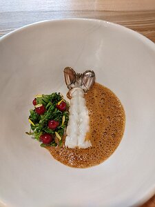 20230617_PXL114948762_Pixel3a-JEB Mediterranean white langoustine, red currants and broccoli, cocoa nibs sauce