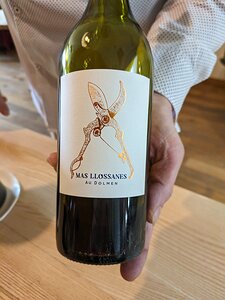 20240418_PXL112624143_Pixel7a-JEB