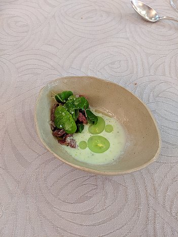 20190719_IMG125529_Pixel3a-JEB amuse bouche 3: chevreuil tartare with wood sorrel sauce and leaves