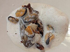 20201025_PXL120317856.PORTRAIT_Pixel3a-JEB Endive, mussels, grapefruit, walnut and crème de moules