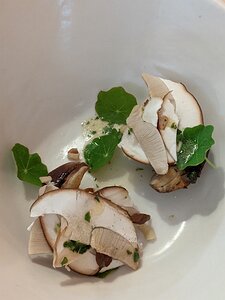 20201025_PXL123403003.PORTRAIT_Pixel3a-JEB Cep, raw and fire-roasted, cep à la grecque, nasturtium leaves