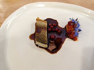20230728_PXL2121116557_Pixel7a-JEB sea bass, redcurrant, tomato, redcurrant, borage and brown fish sauce