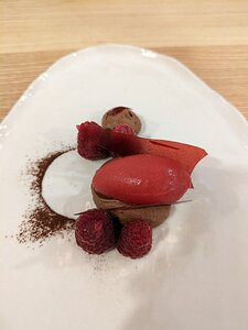 20230728_PXL2131033003_Pixel7a-JEB raspberry, raspberry sorbet, and Madagascar chocolate