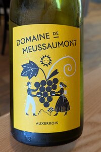 20250403_PXL103129460_Pixel7a-JEB