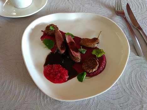 20170803_IMG141506064_MotoG4-JEB meat: pigeon (from Saulcy-sur-Meurthe), beetroot, sarrasin (buckwheat) biscuits, raspberry couli
