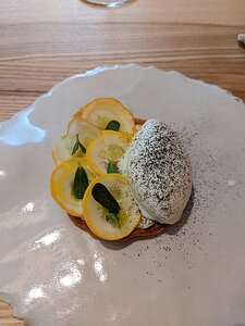 20220704_PXL105542312_Pixel3a-JEB courgette and courgette purée tart with goat milk ice cream