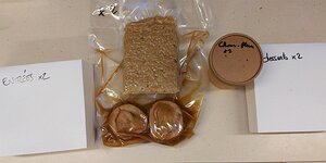 20210313_PXL173305091_Pixel3a-JEB The contents