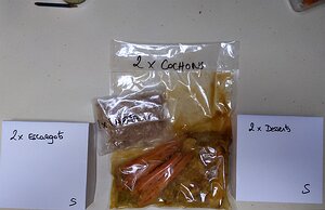 20210515_PXL171012349_Pixel3a-JEB The delivery