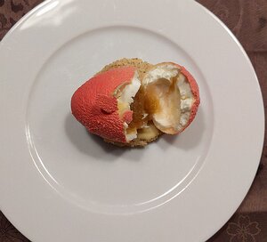 20210515_PXL182114525_Pixel3a-JEB rhubarbe et fromage frais comme un oeuf