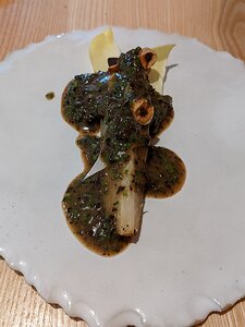 20230119_PXL121740618_Pixel3a-JEB ...mushroom, truffle and endive sauce