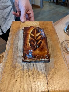 20230119_PXL130846666.MP_Pixel3a-JEB pigeon and cabbage tourte