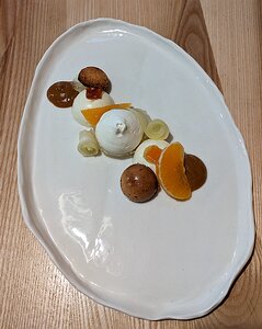 20230119_PXL135526189_Pixel3a-JEB citrus fruits: grapefruit, bergamot, clementine, lemon in bergamot, orange, and meringue