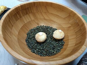 20170201_DSC0041_MotoG4-JEB