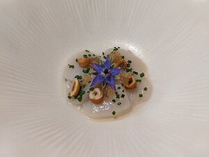 20221203_PXL122351044_Pixel3a-JEB Saint Jacques, hazelnuts, lemon caviar, borage and...