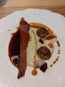 20221203_PXL133622259_Pixel3a-JEB Périgord duck, turnip and orange, anchovy foam