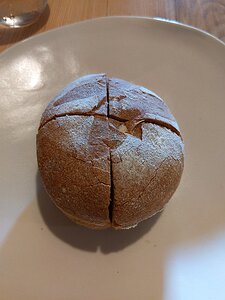 20221008_PXL113746953_Pixel3a-JEB