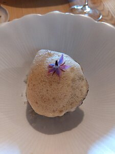 20221008_PXL114450068_Pixel3a-JEB Camargue oyster in shell poached over fire with apple dice and apple foam