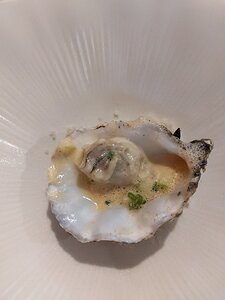 20221008_PXL114715960.MP_Pixel3a-JEB the oyster