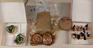 20210313_PXL173335381_Pixel3a-JEB The packaging opened