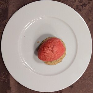 20210515_PXL182028861_Pixel3a-JEB rhubarbe et fromage frais comme un oeuf