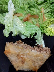 20210501_PXL173216288_Pixel3a-JEB Canard fermier, en pastilla aux amandes et mel, pousses du moment