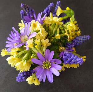 20210328_PXL154250903_Pixel3a-JEB Spring flowers from the garden and orchard