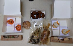 20210404_PXL102431552_Pixel3a-JEB The delivery