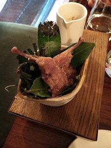 Fordwich-Arms_Canterbury_20190605_IMG200255444_LL starter: Legs to go with the quail breast, broad beans, mousserons & smoked butter