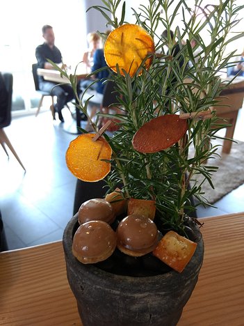 20170614_IMG134954472_MotoG4-JEB mignardises: carrot discs, sponge biscuits and gelatine shapes filled with rosemary-flavoured chocolate cream (on a rosemary plant)