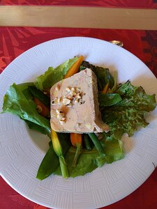 20200709_IMG125416_Pixel3a-JEB LE FOIE GRAS DE CANARD MAISON , légumes croquants de saison (given by mistake and taken away)