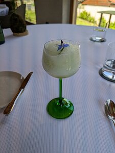 20250512_PXL104751338.MP_Pixel7a-JEB peas with pea sorbet, jelly, mouse, muscadet and anise