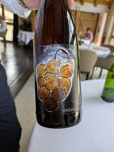 20250512_PXL110028222.MP_Pixel7a-JEB