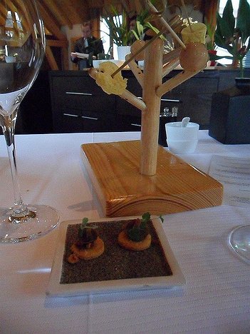 20131119_SAM_1475_ES71 36€ (46€ with three glasses of wine) menu - Amusettes et broutilles- foie gras balls, crisps, nut and cuttlefish biscuit