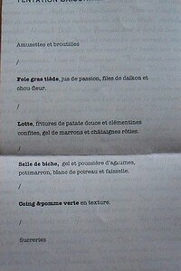 20141025_SAM_7640_ES71 We chose the 38.50 euro menu (49.50 euro including three glasses of wine, reisling for foie gras, white pays d'Oc for the fish, and cotes du Rhone for the deer)