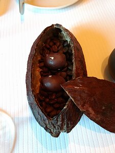 20180904_IMG193449142_MotoG4-JEB Amusettes et broutilles