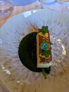 20230207_PXL121316988_Pixel3a-JEB Gâteau de moelleux de brochet, coulis d’épinard et orange