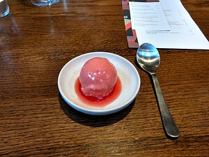 IMG_20170419_192214427_HDR pre-dessert: blood orange sorbet with Campari