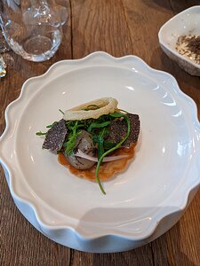 20230106_PXL120529771_Pixel3a-JEB first course - onion tart with Perigord truffle, onion ring and ...