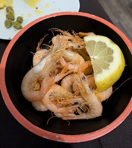 20240618_PXL175331745.MP_Pixel7a-JEB Shrimps