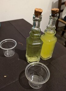 20240618_PXL185615825_Pixel7a-JEB Limoncello and fennel liqueurs
