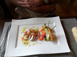 20130627_SAM_1231_ES71 starter: Suprême de poulet d'Alsace (Label Rouge) tranché, sauce vierge (huile d'olive, citron, tomates,basilic) salade estivale