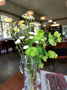 20170511_IMG123509997_HDR_MotoG4-JEB We chose the 51€ Menu Decouverte