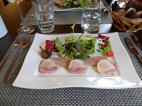 20120426_SAM_0570_ES71 starter: Ballotine de Cailles et foie gras d'oie salade printanière