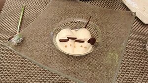 20150806_IMG_141831764_MotoG-JEB melting ice mice