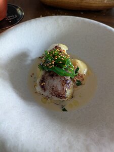 20251026_PXL125741201_Pixel7a-JEB Patagonian tooth fish (Chilean sea bass) on polenta and dried scallop sauce