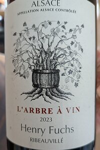 20251026_PXL131314988_Pixel7a-JEB