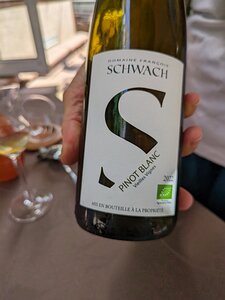 20240512_PXL105518109.MP_Pixel7a-JEB